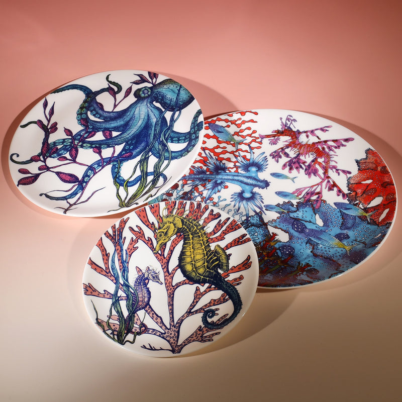 Bone China White plate with hand drawn illustration our Octopus Reef in various colours.Also is a large decorated reef dinner plate and a side plate an gorgeous reef colours