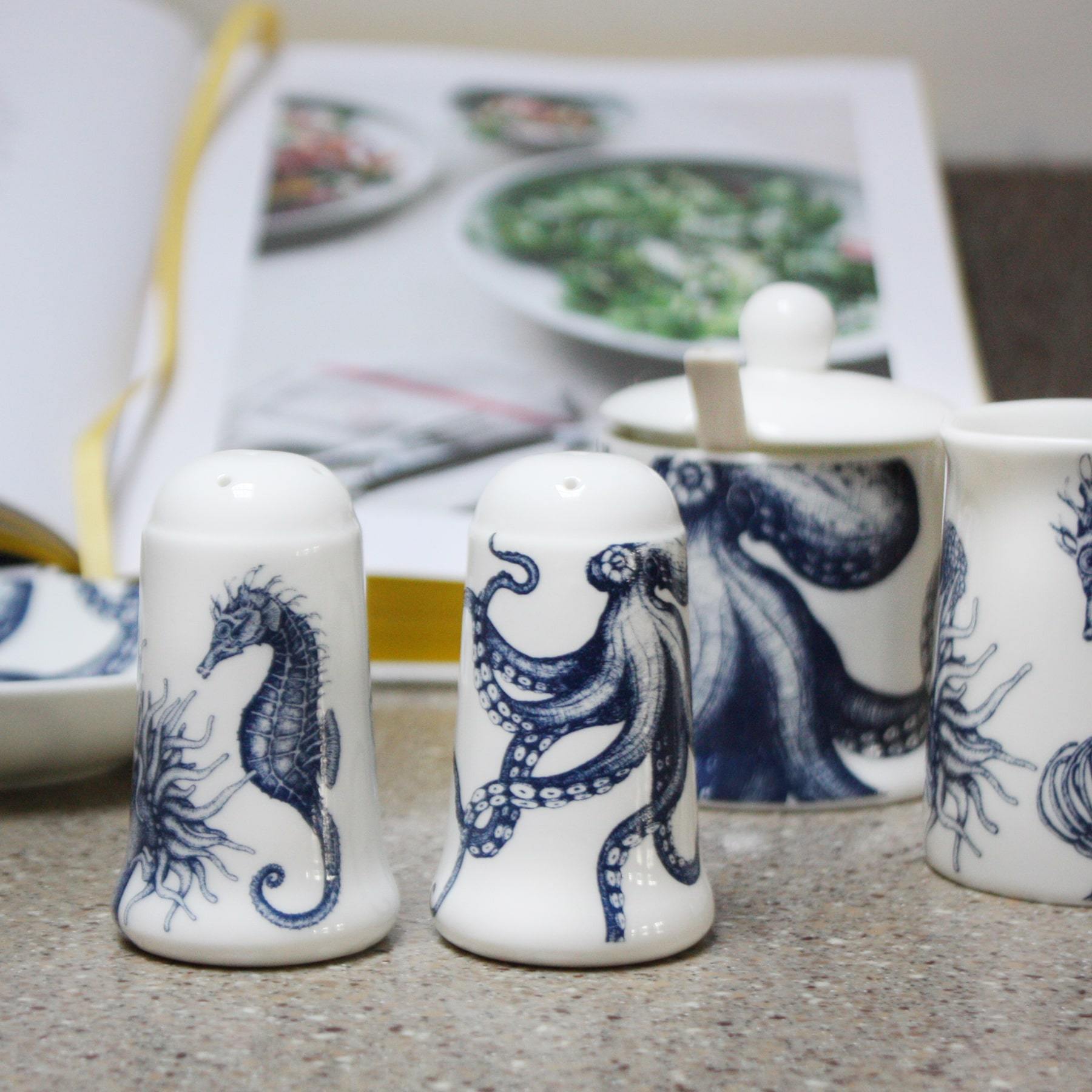 Bone china salt an pepper pots in our classic navy and white.Salt has seahorse, shell and an anenome on and the pepper has an octopus.These are both placed in from of an octopus Jam pot and a seahorse jug,in the background you can see an open cookbook