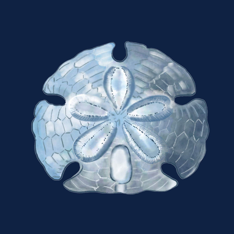Sand Dollar Ink Blue Art Print  - 20cm & 30cm Square