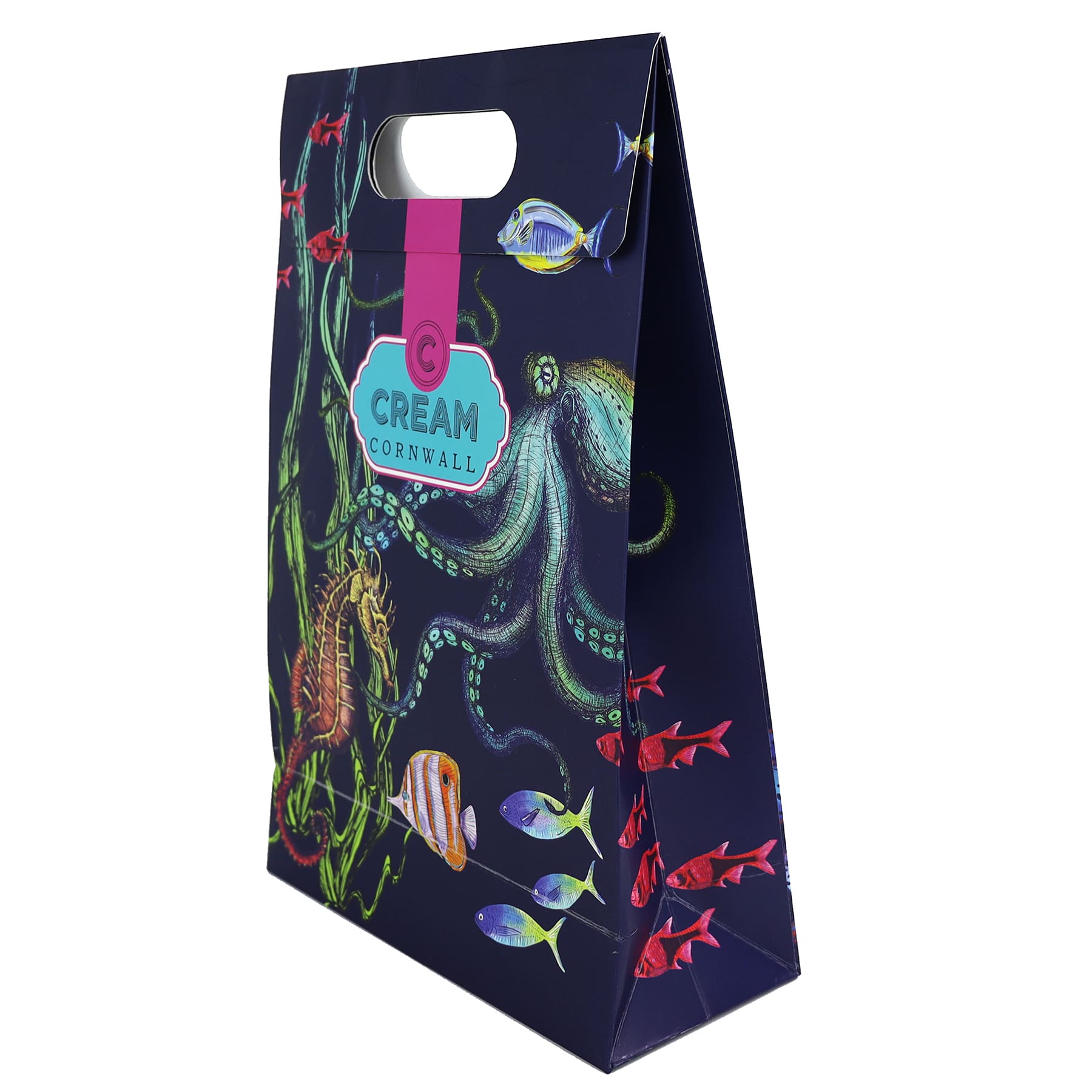 Side shot of reef illustrated gift bag- gift and accessories-Cream Cornwall