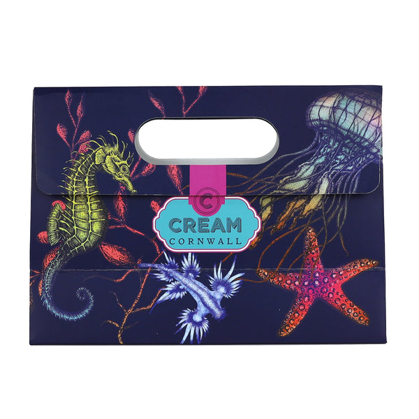 Front shot of reef illustrated small gift bag- gift and accessories-Cream Cornwall