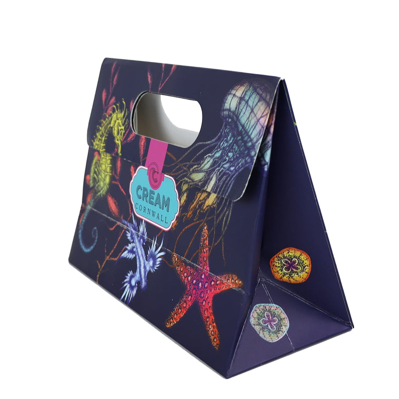 Side shot of small reef illustrated gift bag- gift and accessories-Cream Cornwall