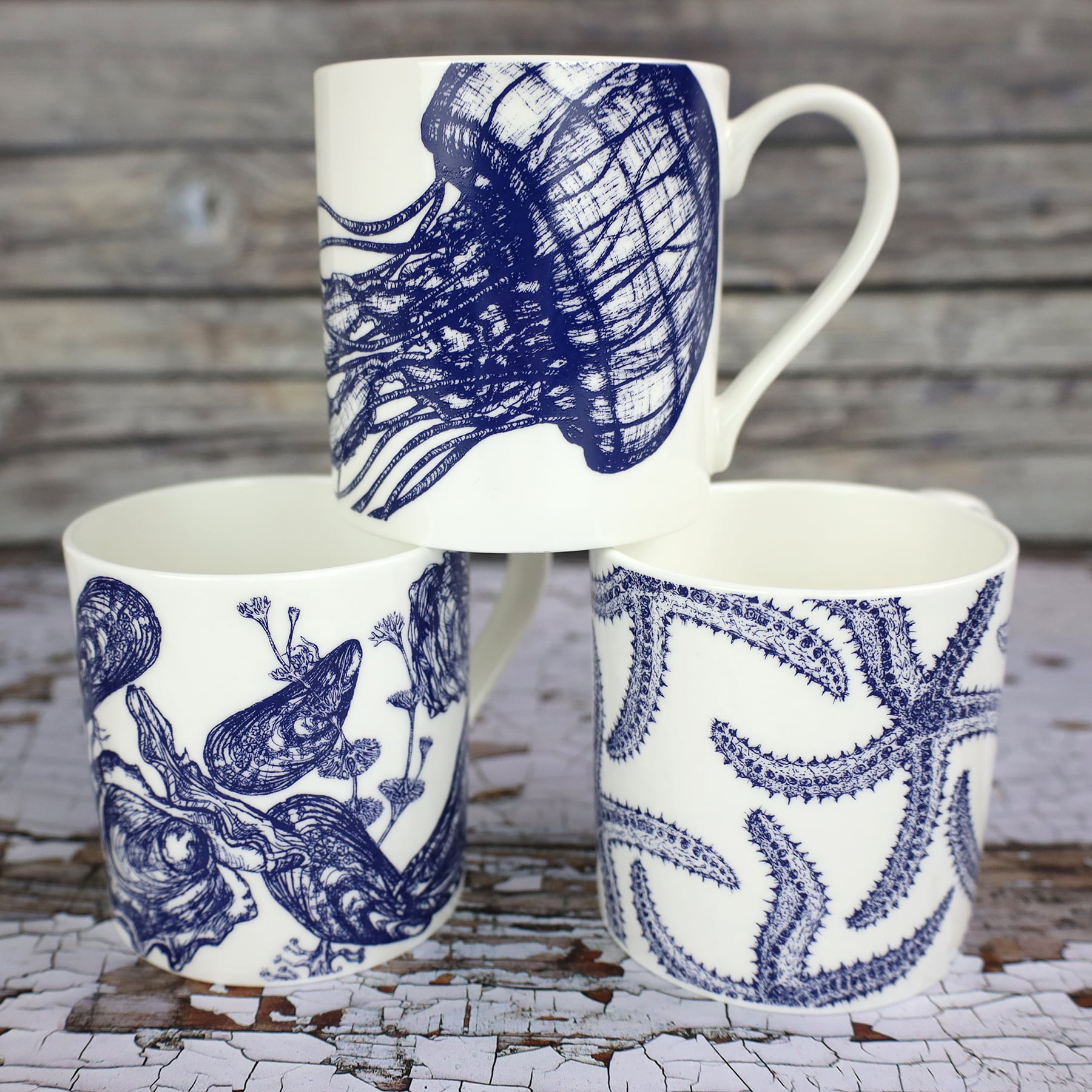 The photo shows Bone china white mug featuring hand drawn jellyfish design in classic Navy stacked  on a starfish mug and a mussel/oyster decorated mug.