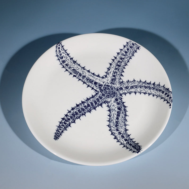 Bone China White  plate with hand drawn illustrations of  a Starfish in navy.