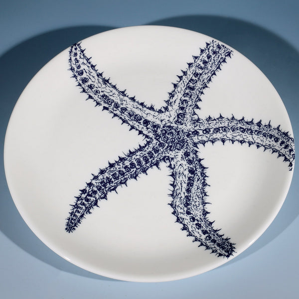 Large Bone China White 30cm diameter plate with hand drawn illustrations of a Starfish in Navy