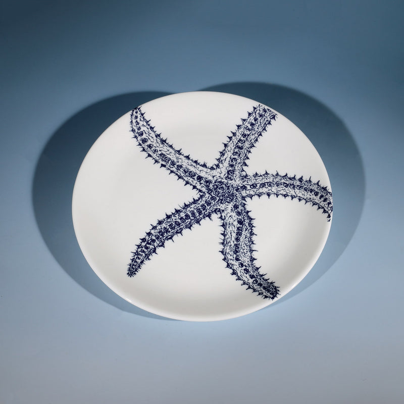  Bone China White side plate with hand drawn illustrations of a Starfish in Navy