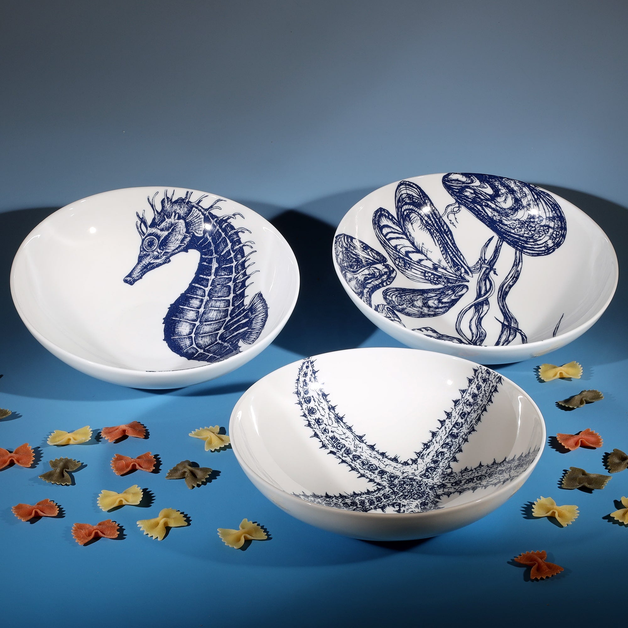 Pasta bowl in Bone China in our Classic range in Navy and white in the Mussel design next to a Starfish and a Seahorse bowl.In between them are several pieces of decorative colourful pasta