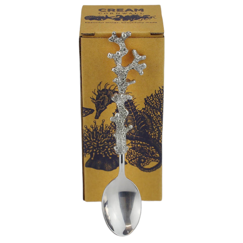 Pewter Coral Teaspoon leaning against the cream Cornwall box that it comes with